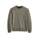 Essential Crew Sweatshirt