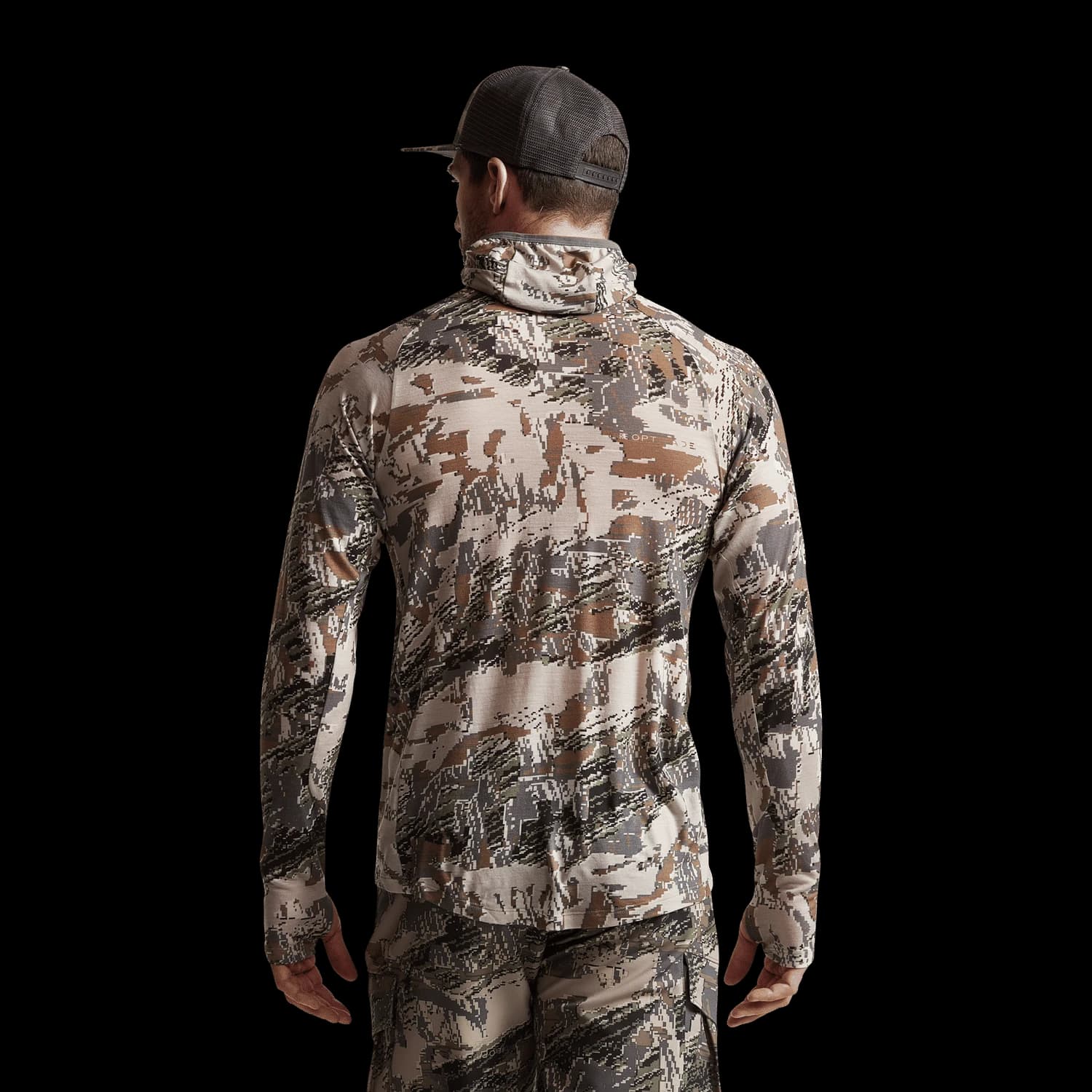 Core Merino 120 Hoodie