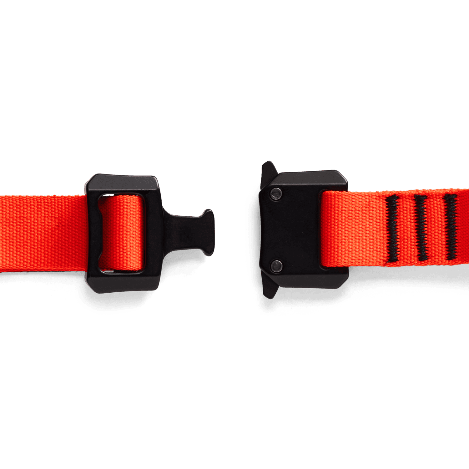 Sitka Dog Collar
