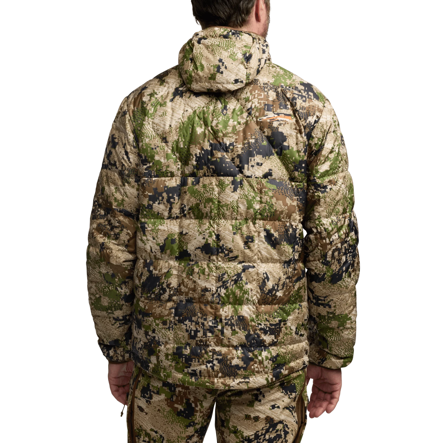 MicroDown Hooded Jacket