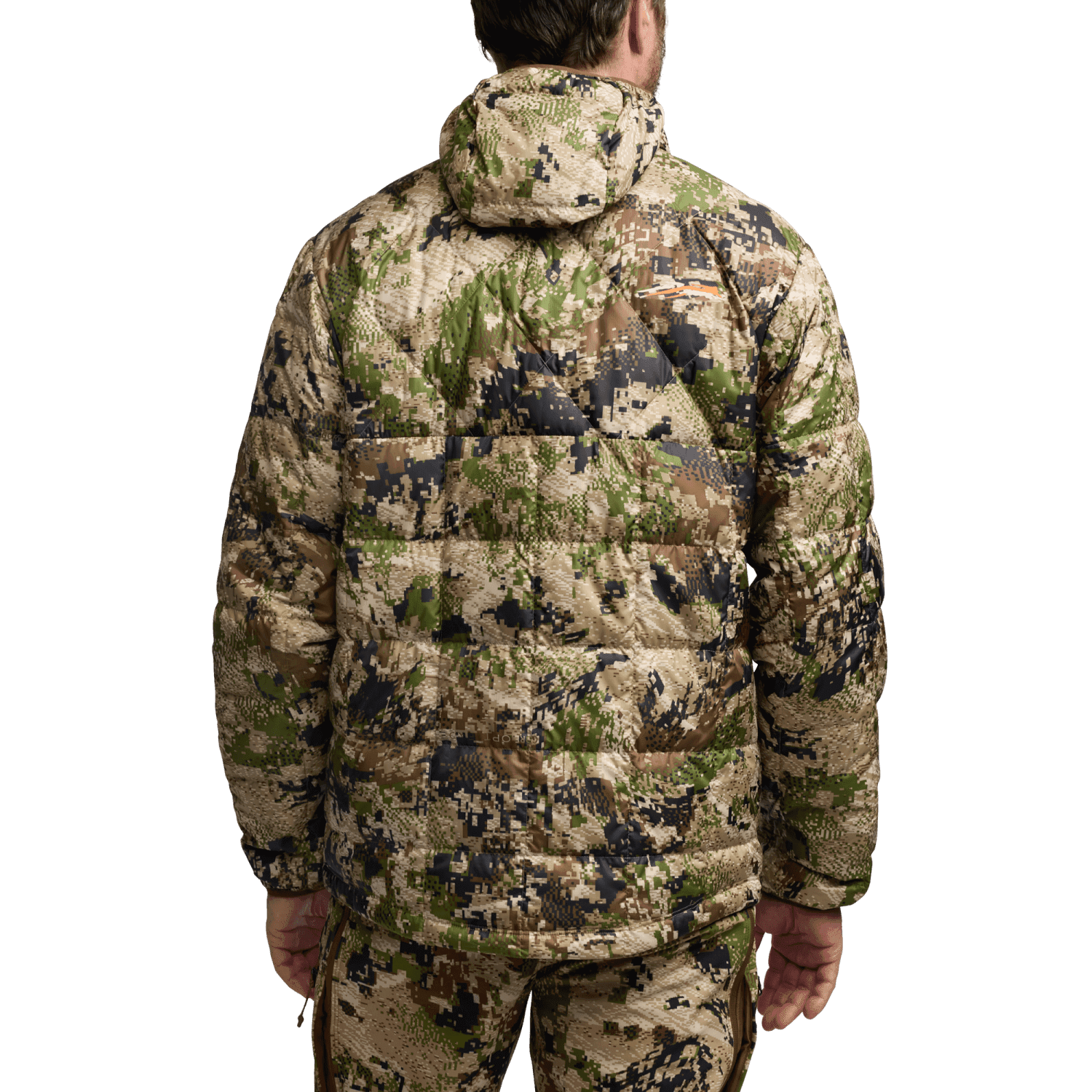 MicroDown Hooded Jacket