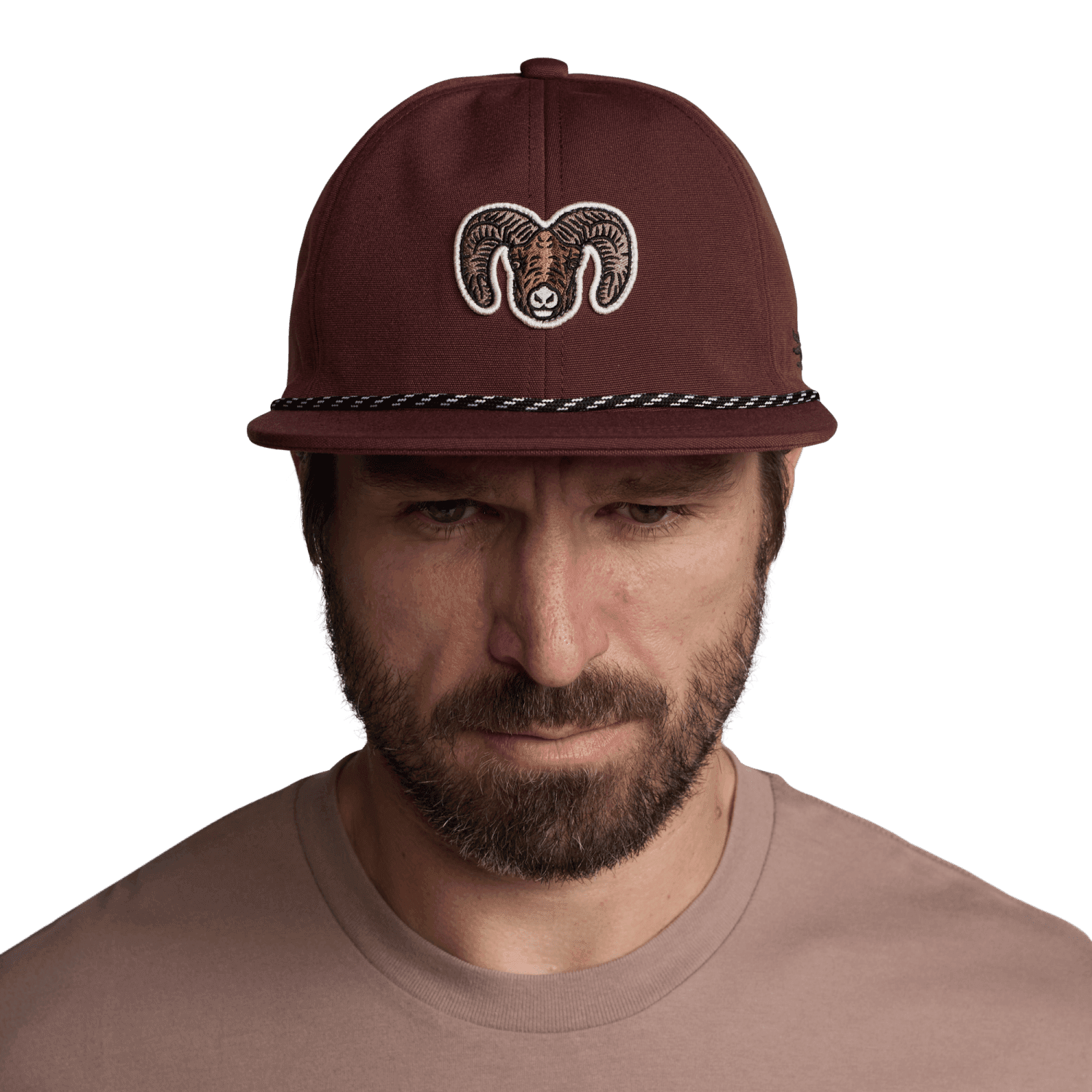 Species Unstructured Snapback