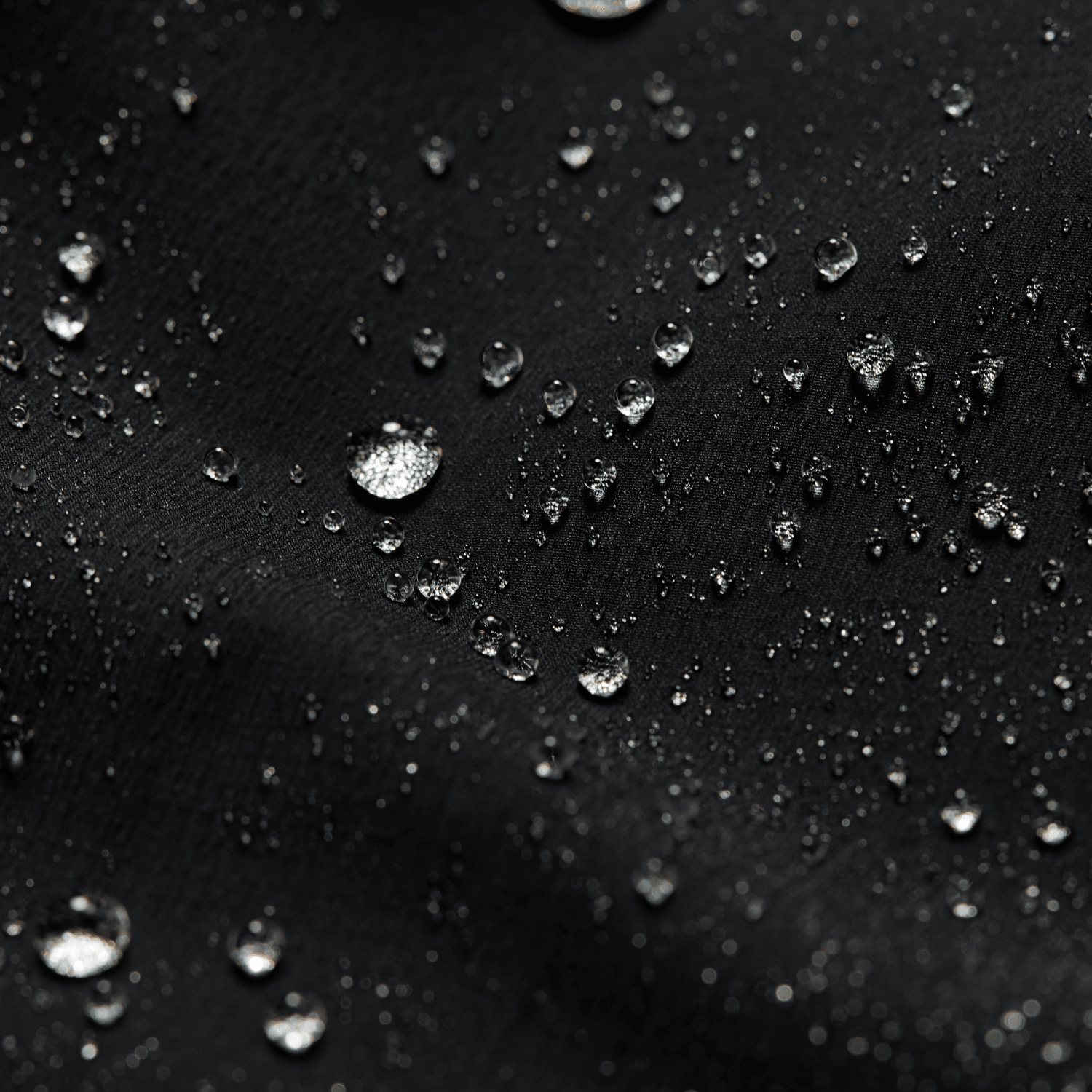 Women's Ambient Jacket