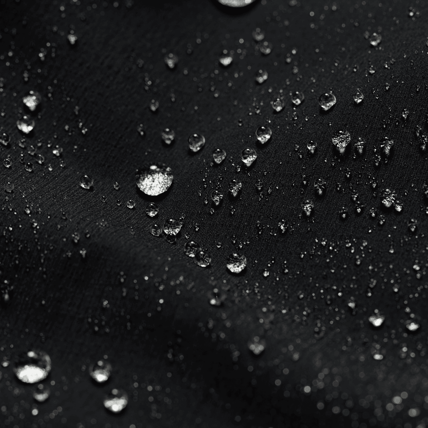 Women's Ambient Jacket