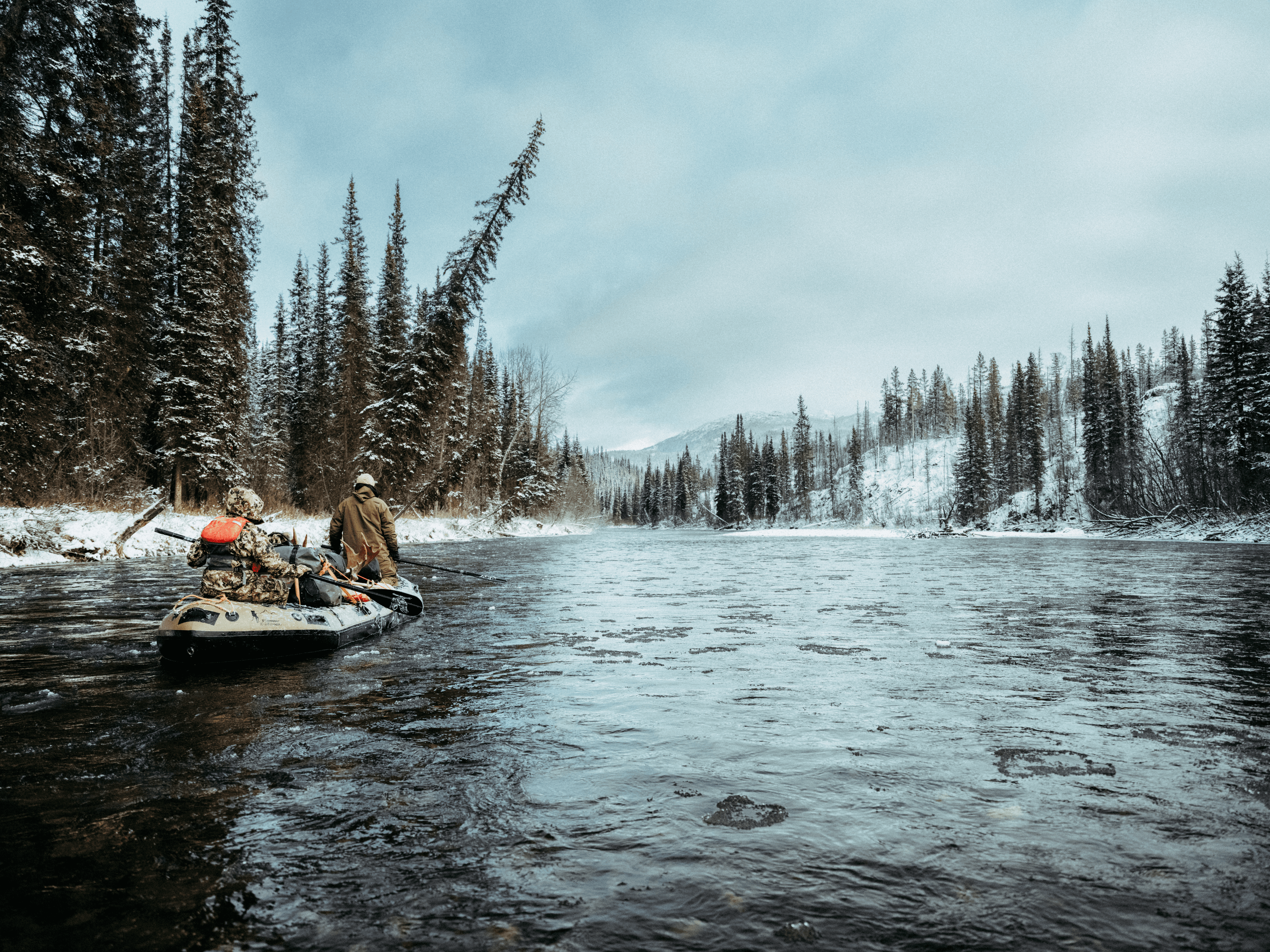 Sitka-LCM-659 1