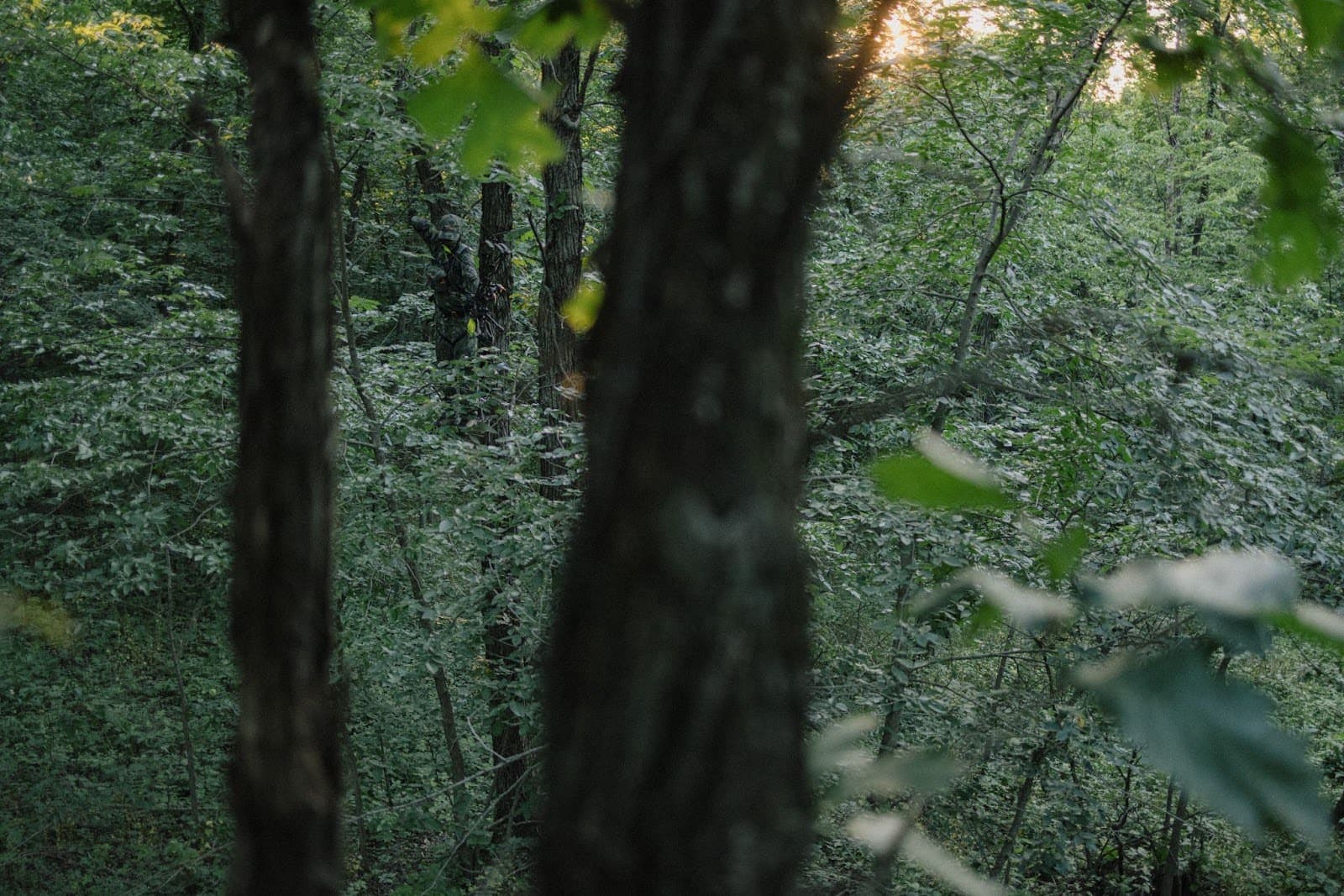 Deer Hunting Scent Control Techniques: How to Hide Scent