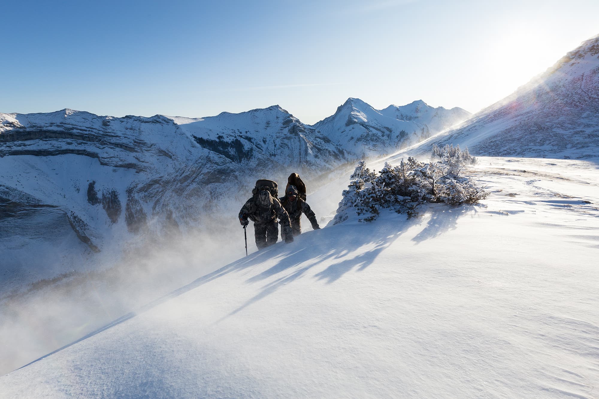 image/jpeg | Withstand-the-Wind.jpg