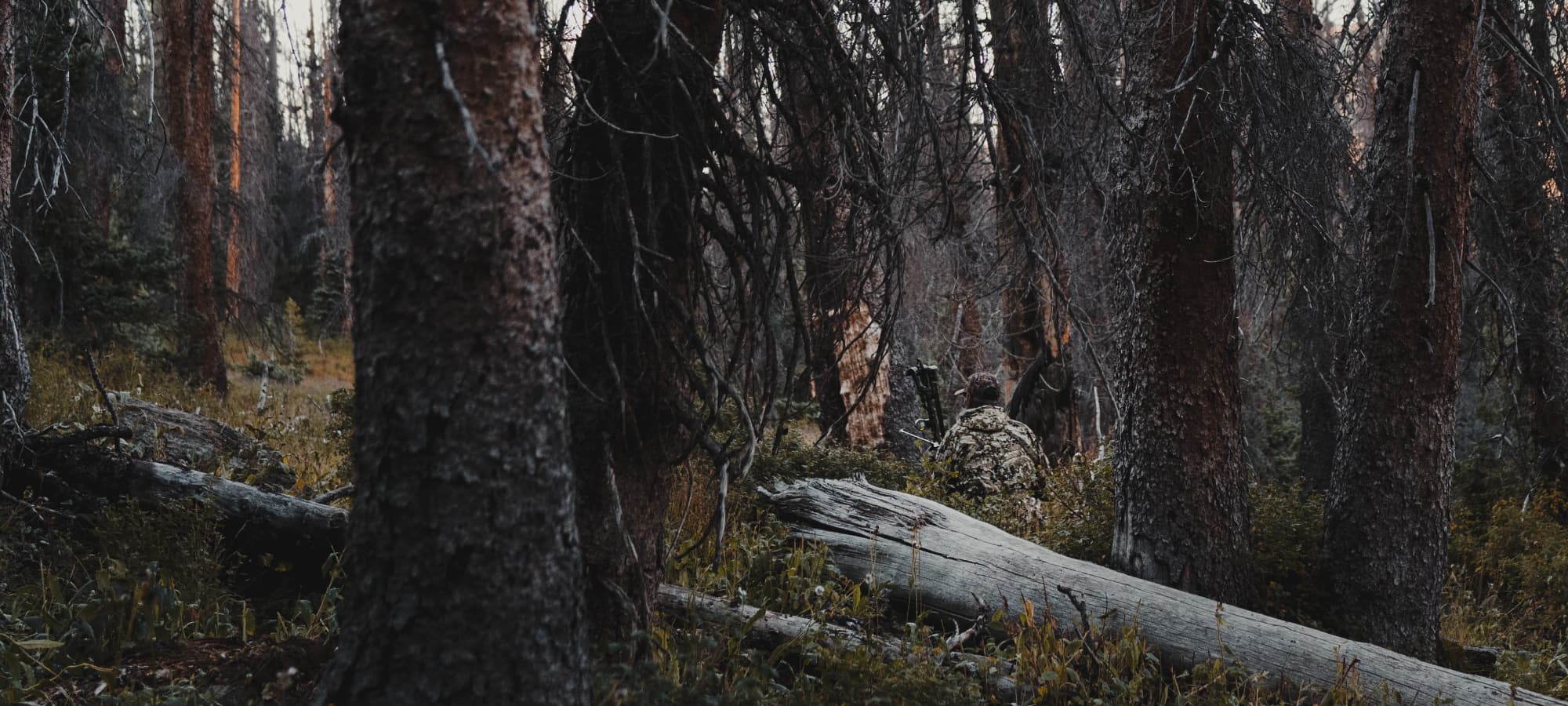 Man in Optifade Subalpine elk hunting sitting in vegetated terrain waiting | SITKA Gear