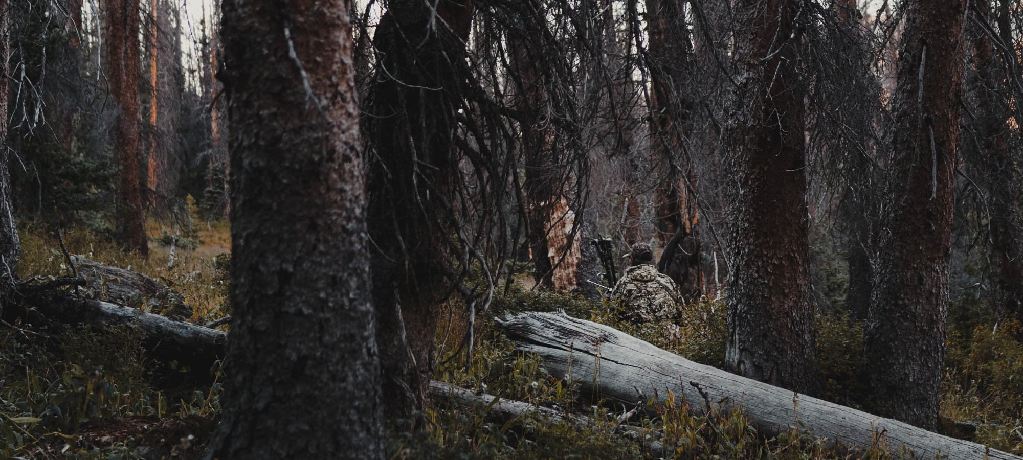 Man in Optifade Subalpine elk hunting sitting in vegetated terrain waiting | SITKA Gear