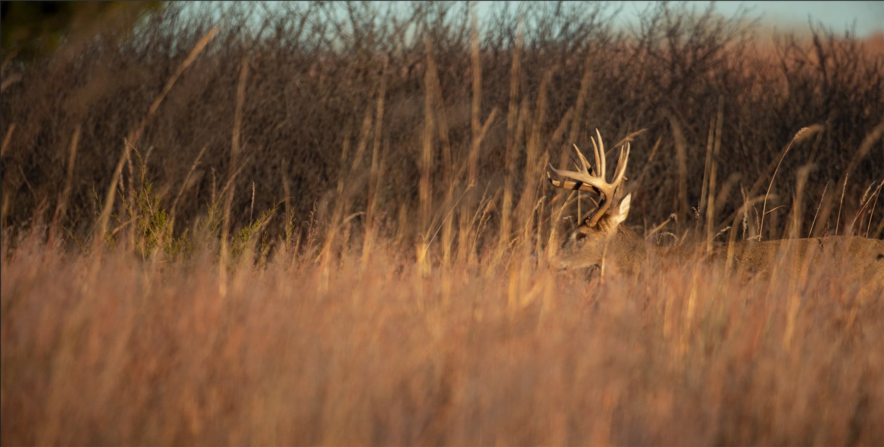 The Confluence: Identifying Key Funnels for Whitetails