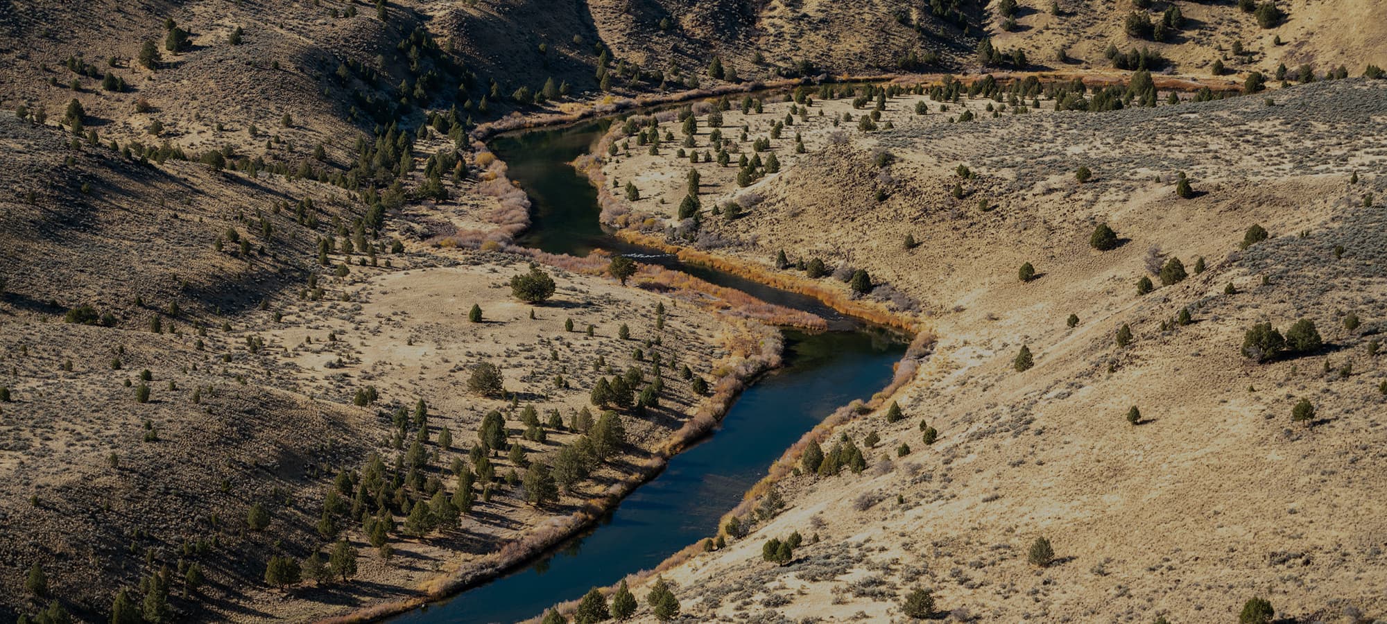 Overlooking a river