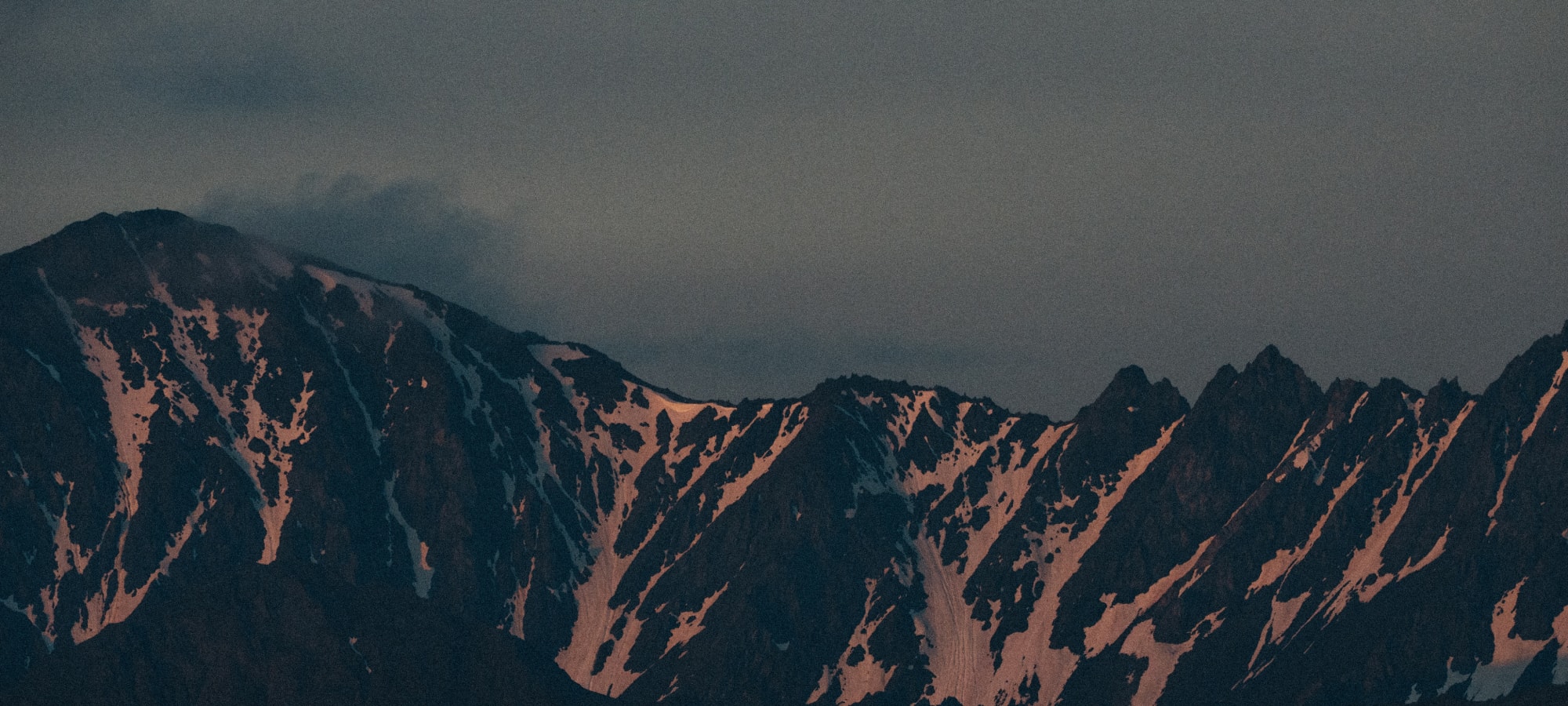 SITKA Studio Scout