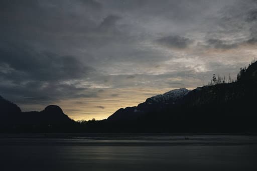 8 Bear Hunting Tips: How to Hunt Bear