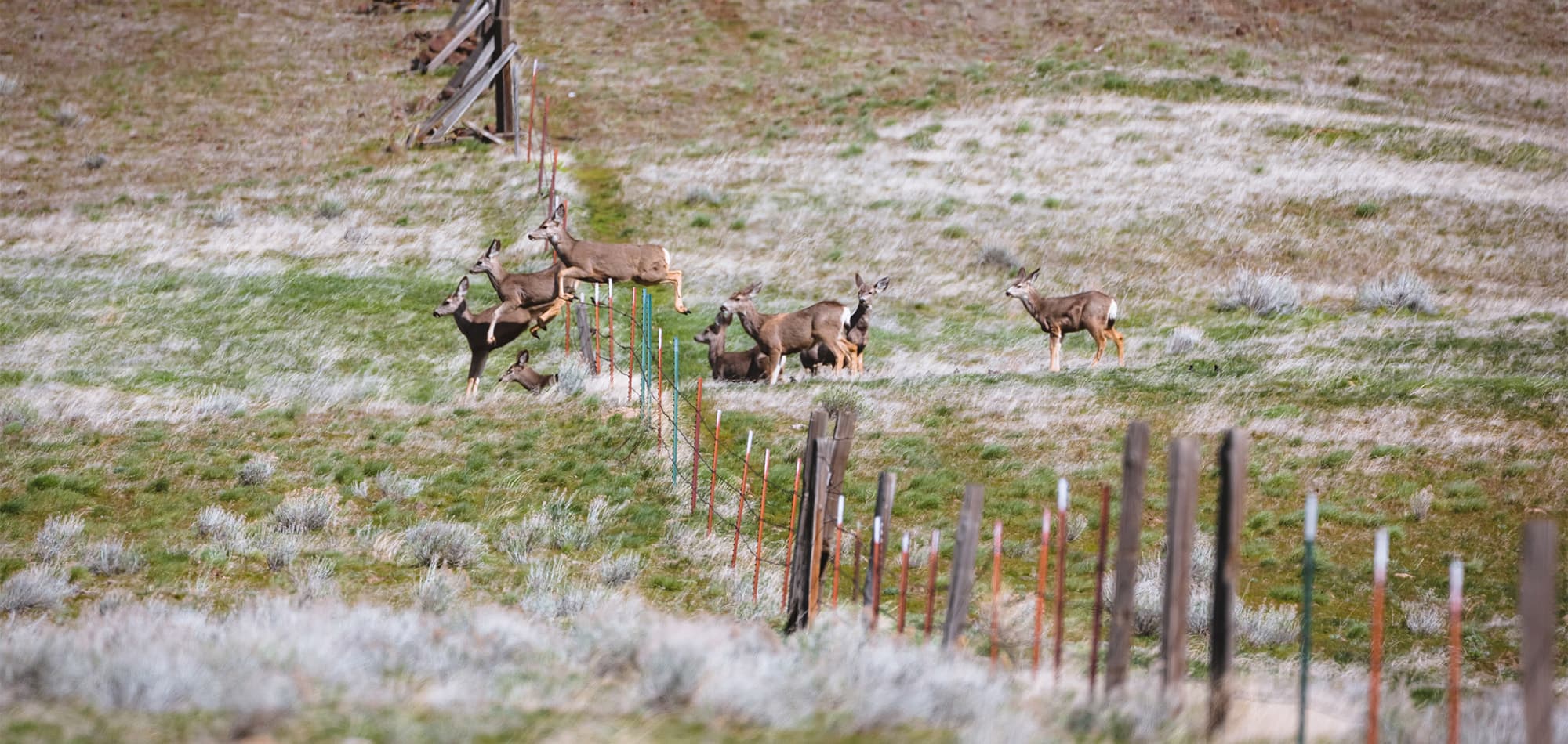 Seeing is Believing | SITKA Gear