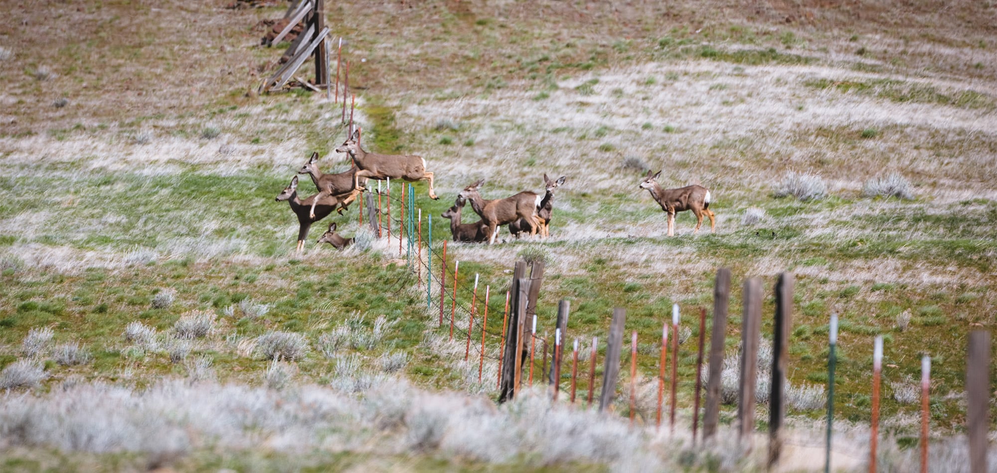 Seeing is Believing | SITKA Gear