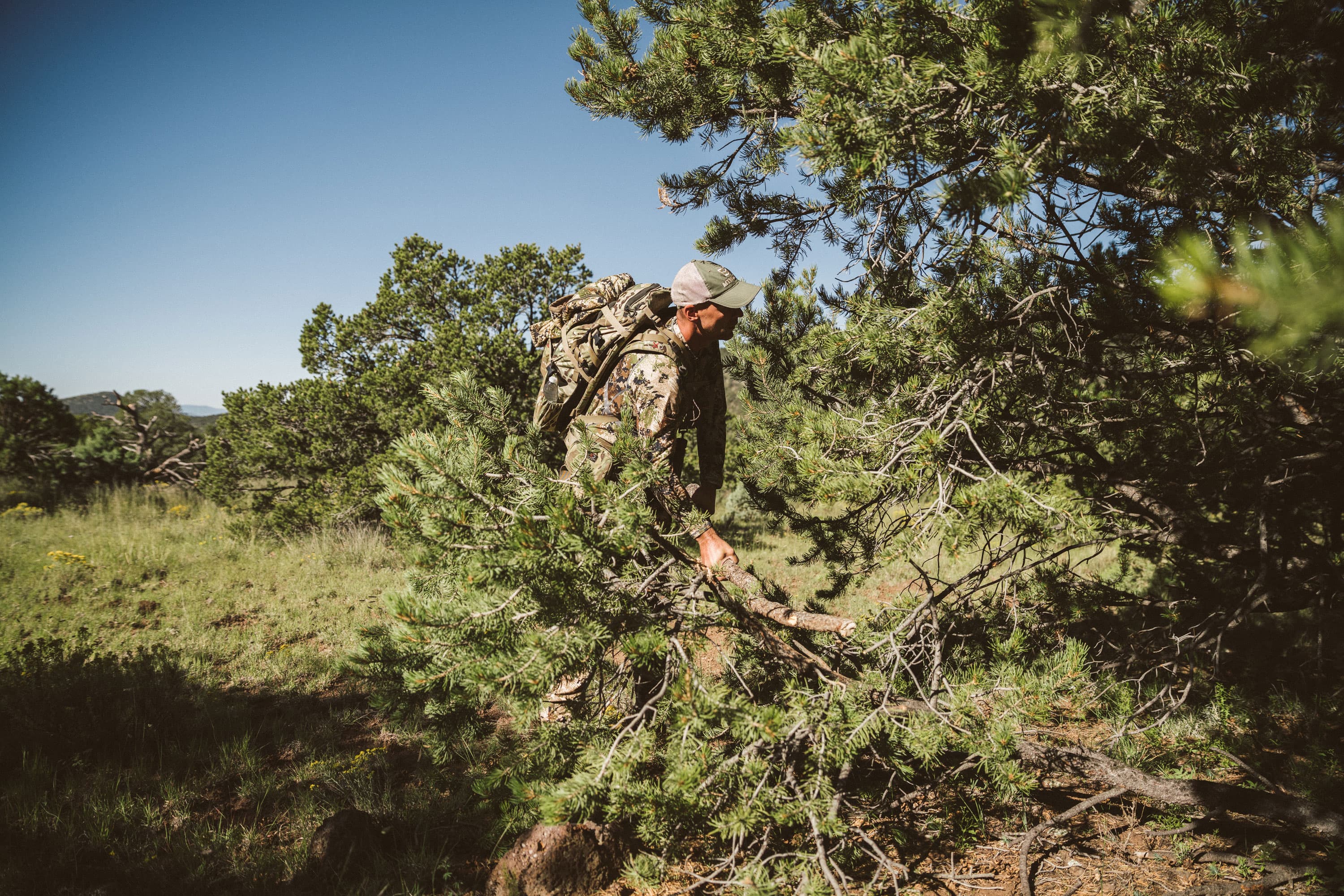 5 Elk Hunting Mistakes image 3