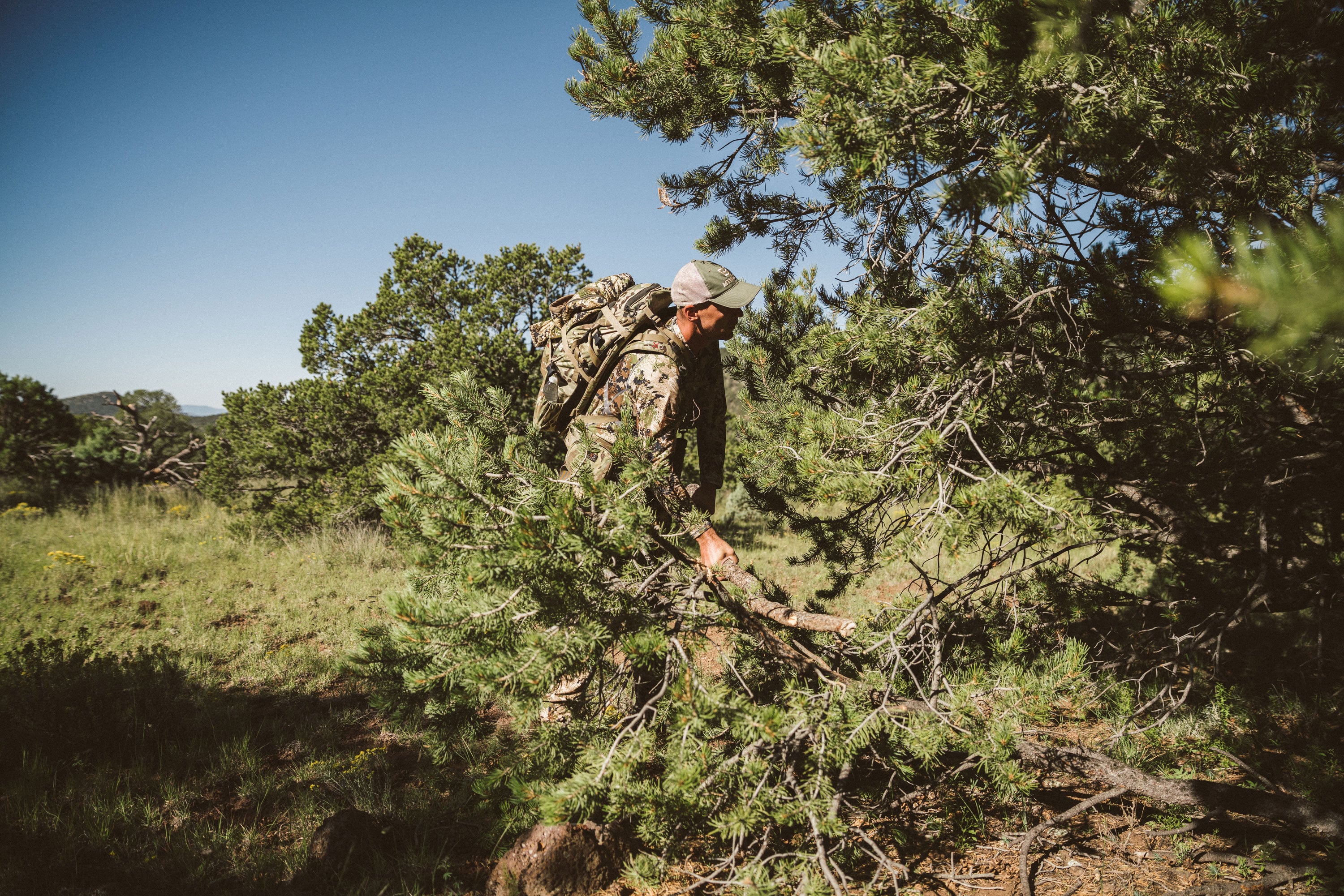 5 Elk Hunting Mistakes image 3