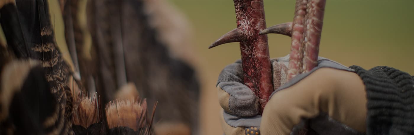 Successful turkey hunter.