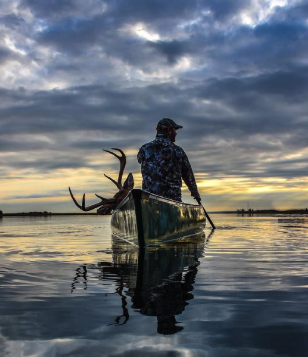 eugene-whitetail