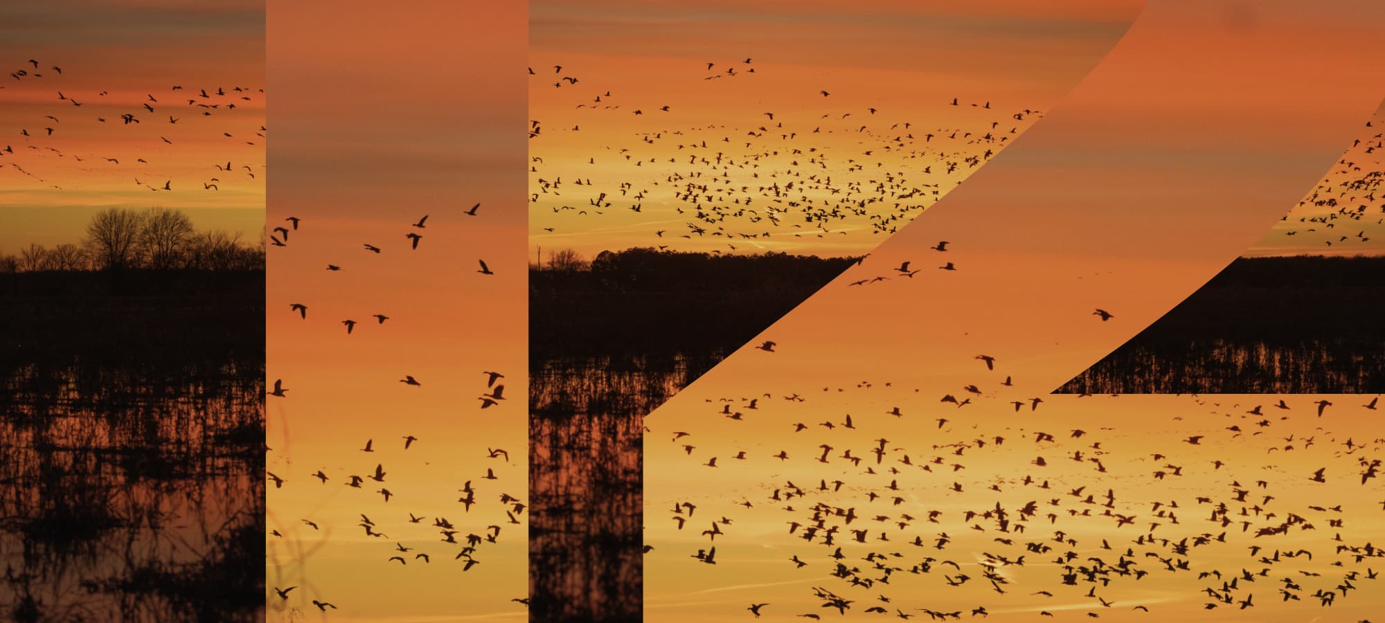 DIVERGE 12 | SITKA Gear