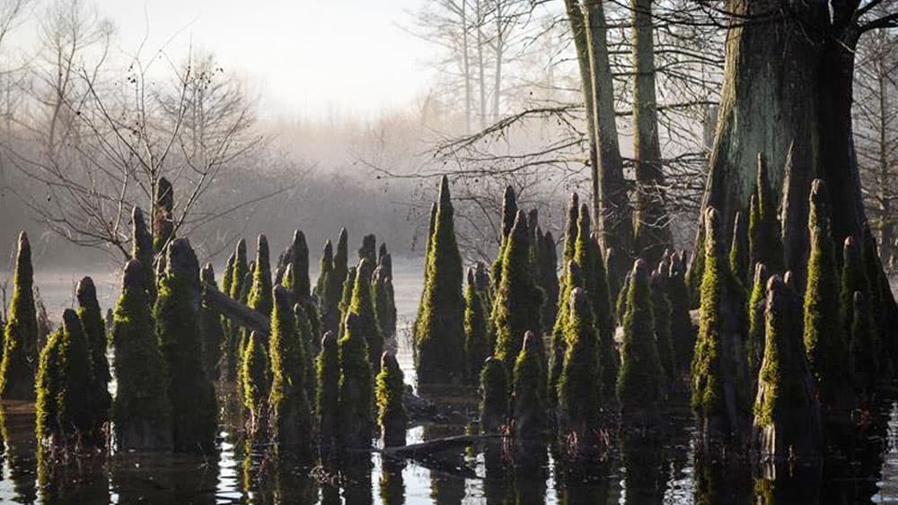 image/jpeg | When-the-Conditions-Say-NO-but-your-gut-says-GO.jpg