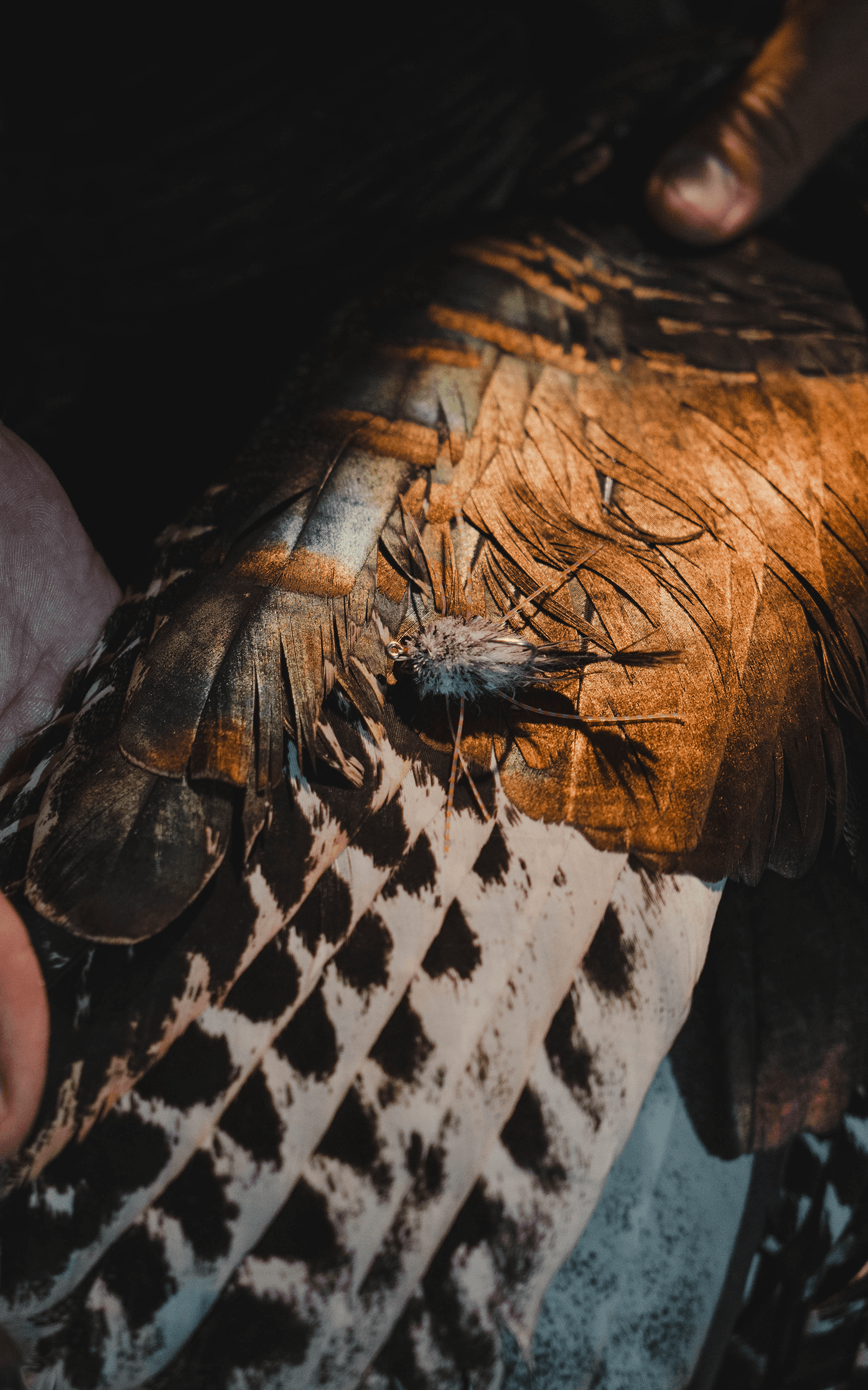 SITKA Feathers To Fins