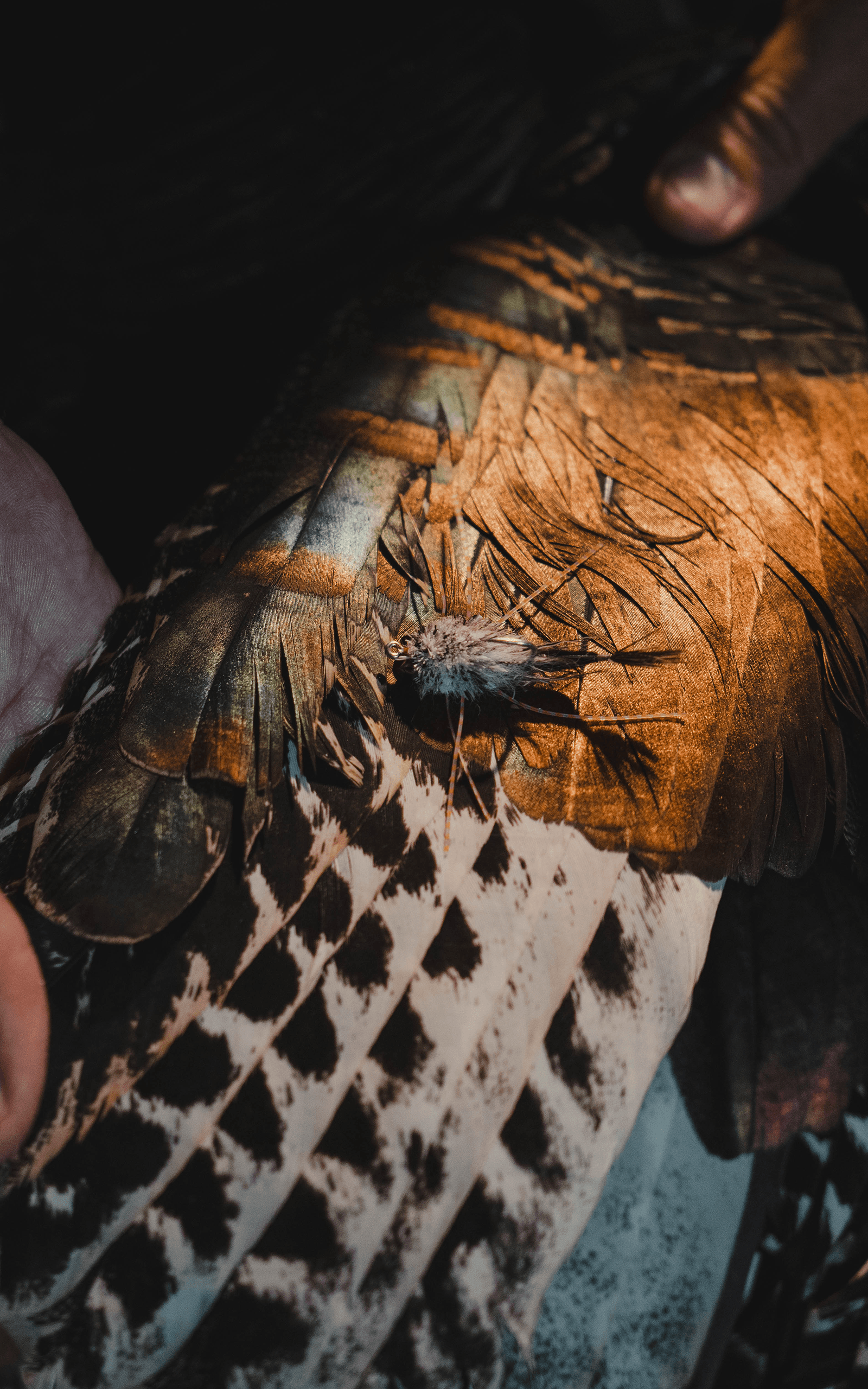 SITKA Feathers To Fins