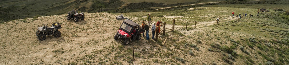 Biologists and volunteers in Wyoming doing all they can to help mule deer numbers