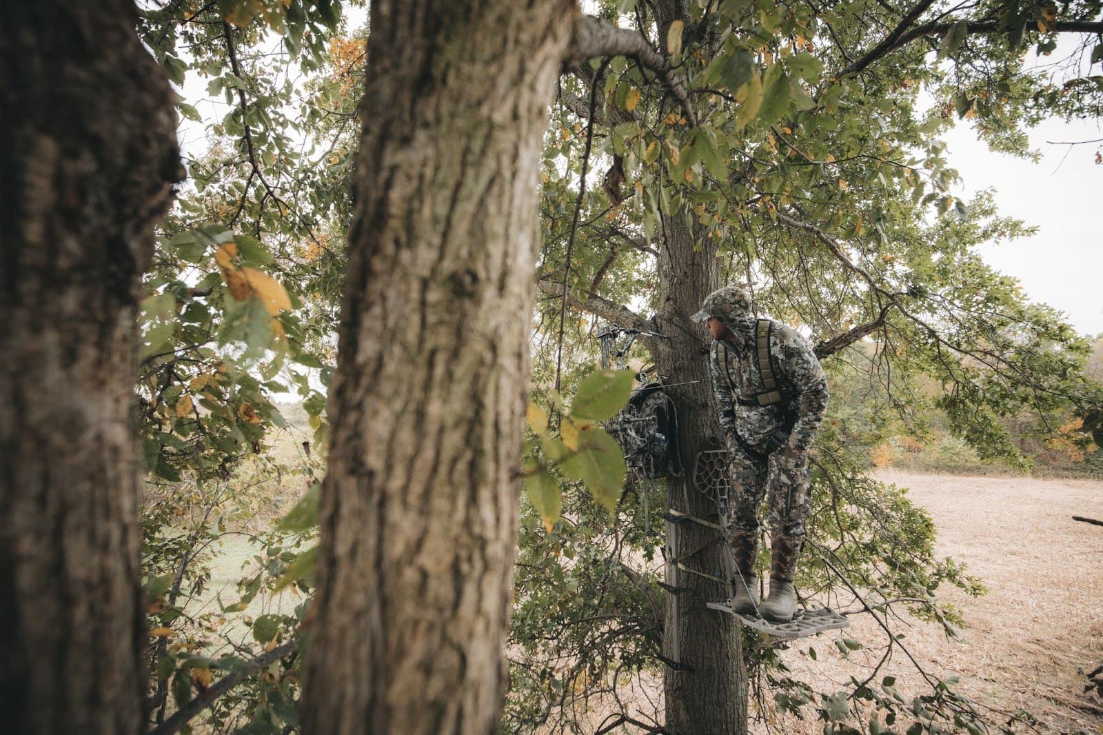 8-whitetail-deer-hunting-tips-image-3