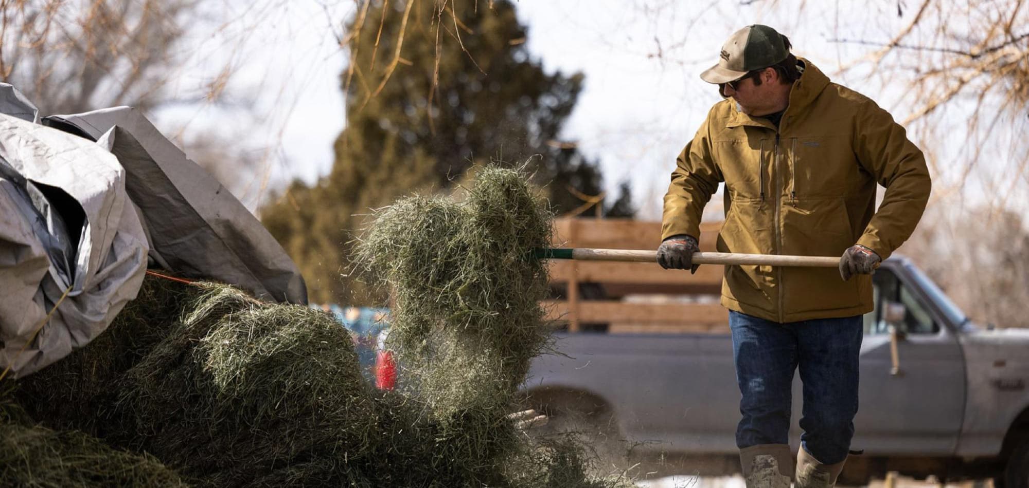 image/jpeg | header.jpg