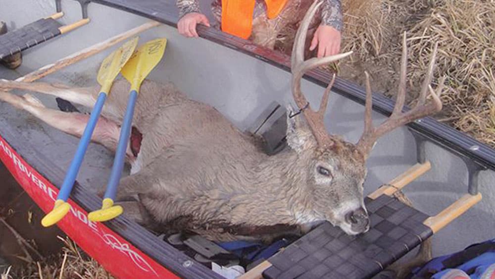 image/jpeg | Into-The-River-Bottom.jpg