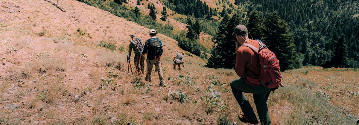 Volunteers hiking Middle Cottonwood Trail