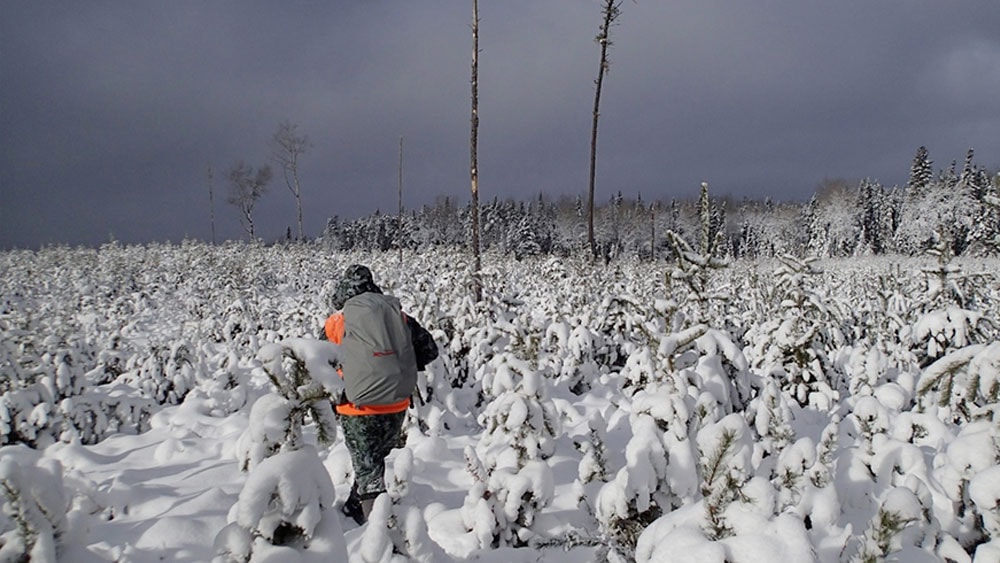 image/jpeg | When-a-Hammer-Falls.jpg