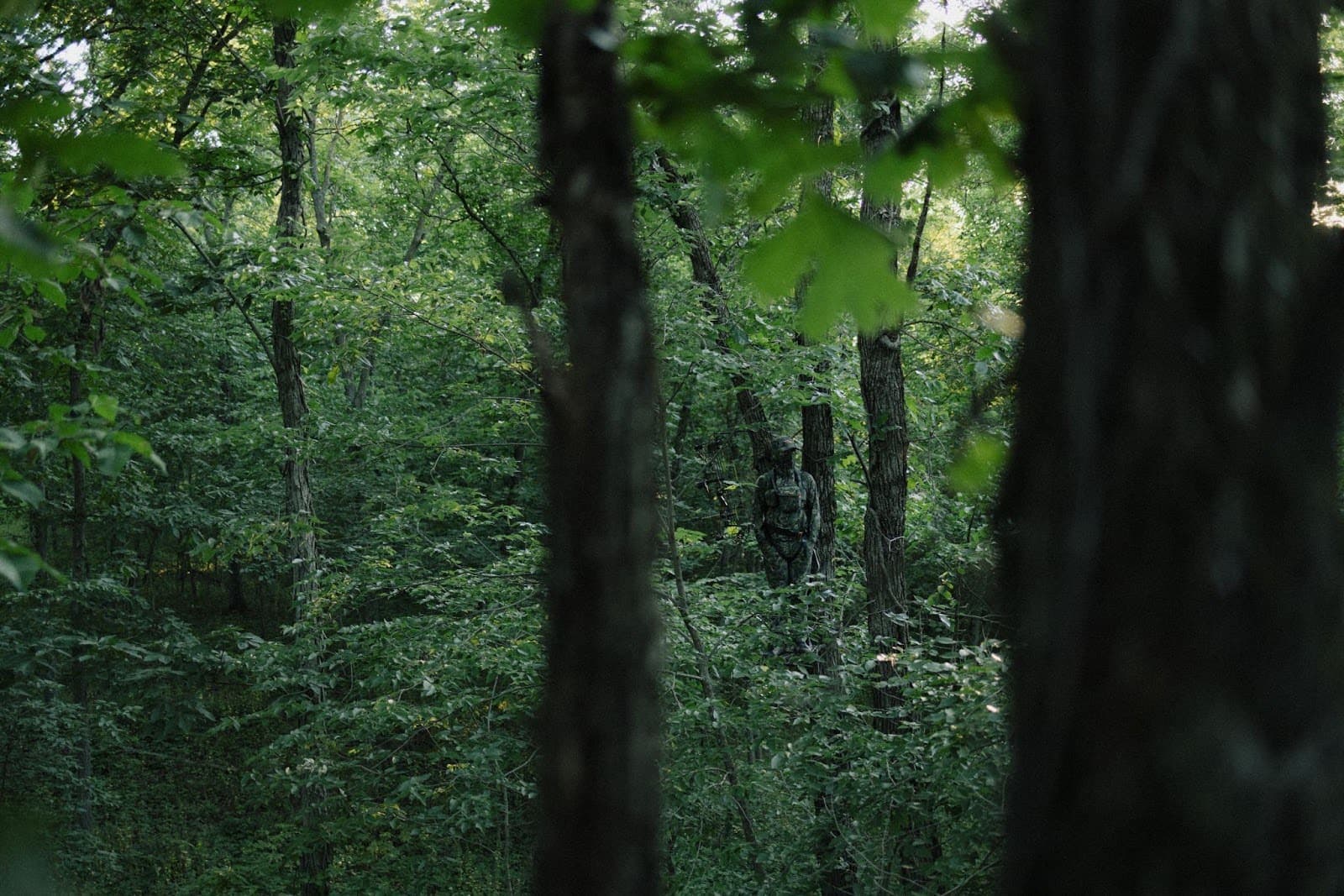 8-whitetail-deer-hunting-tips-image-5