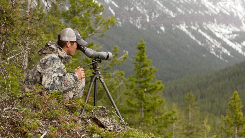 Converted: How I Became A Bear Hunter