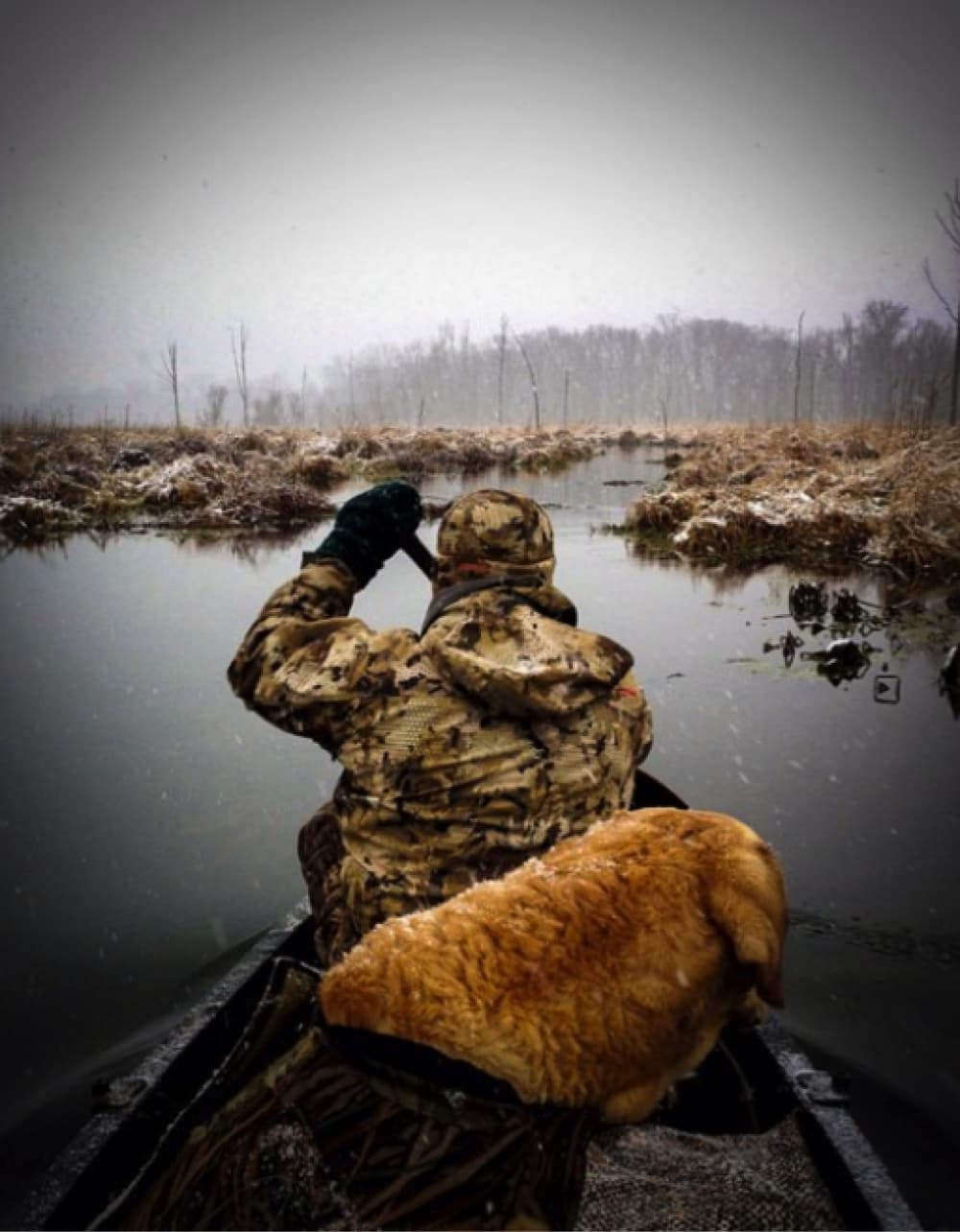 owen-waterfowl