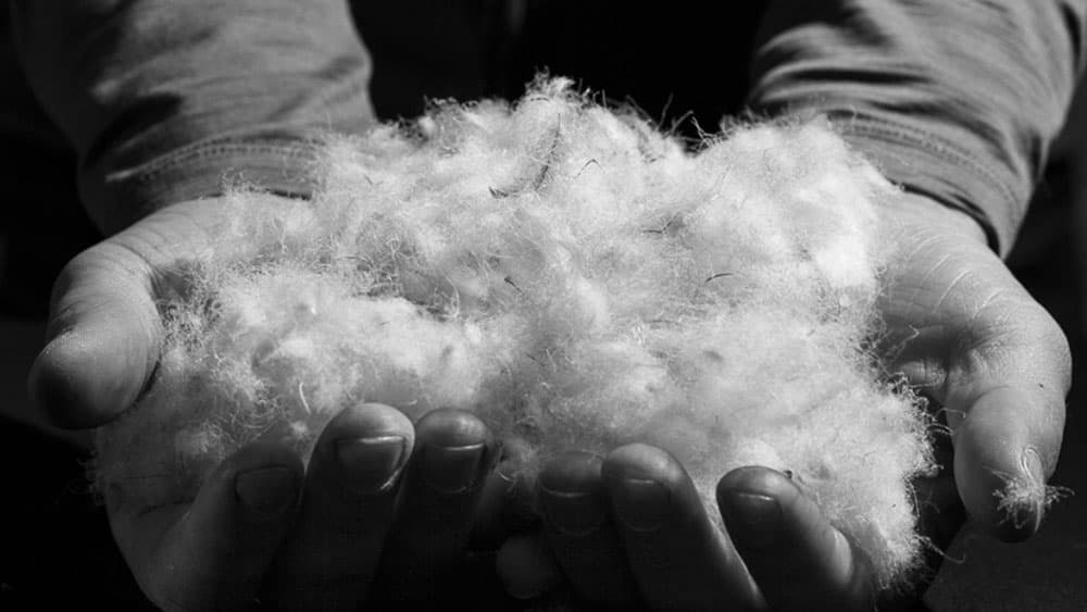 image/jpeg | The-Darkroom-Down-Without-The-Letdown.jpg