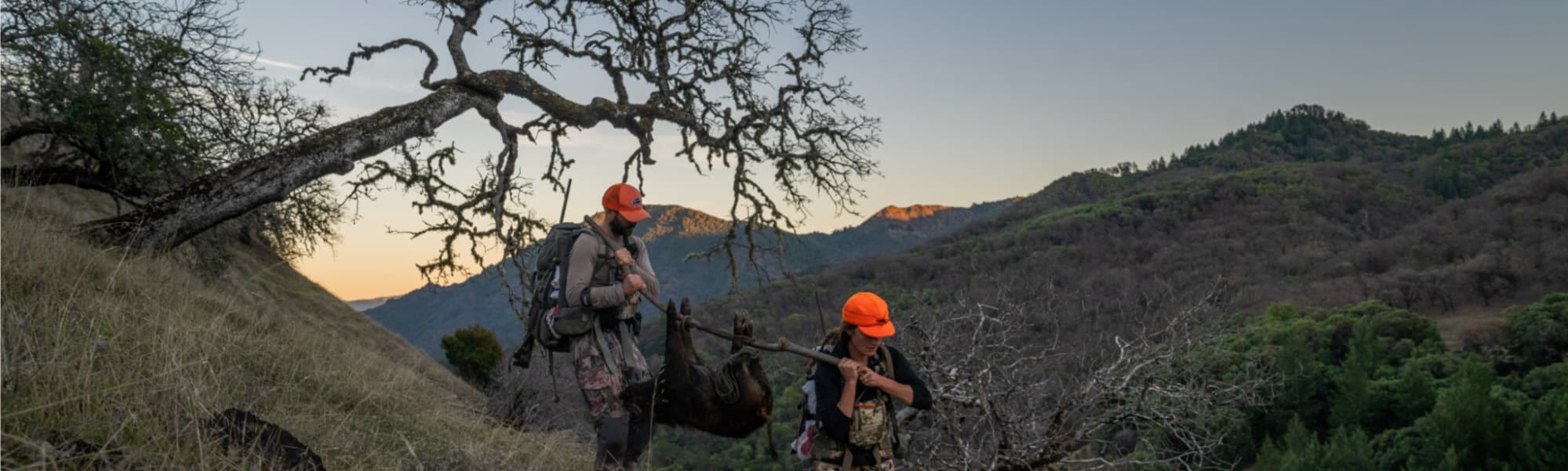 image/jpeg | image4.jpg