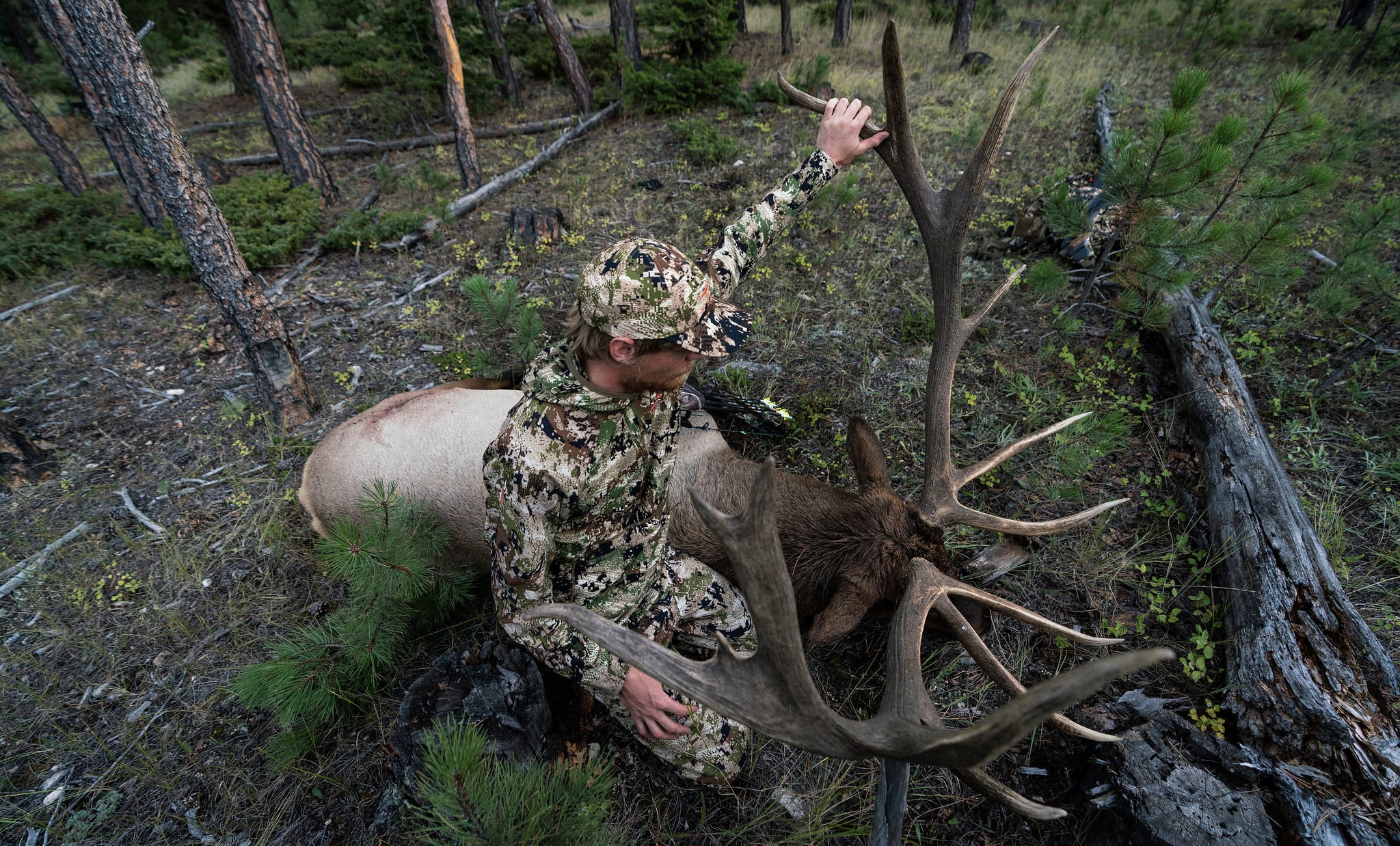 7 Tips For Archery Elk Success