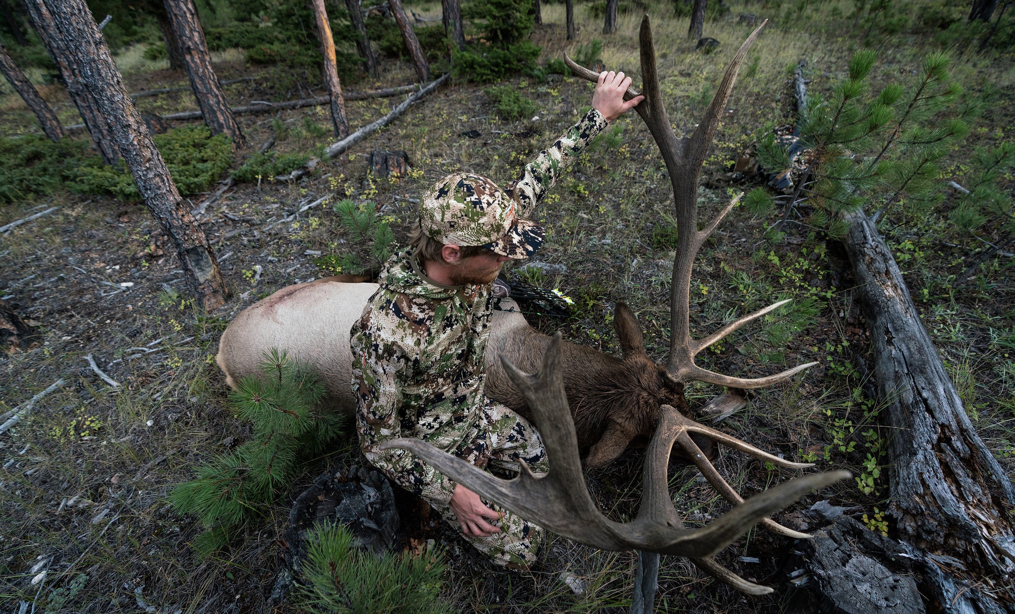 image/jpeg | 7-Tips-For-Arrowing-More-Bull-Elk.jpg