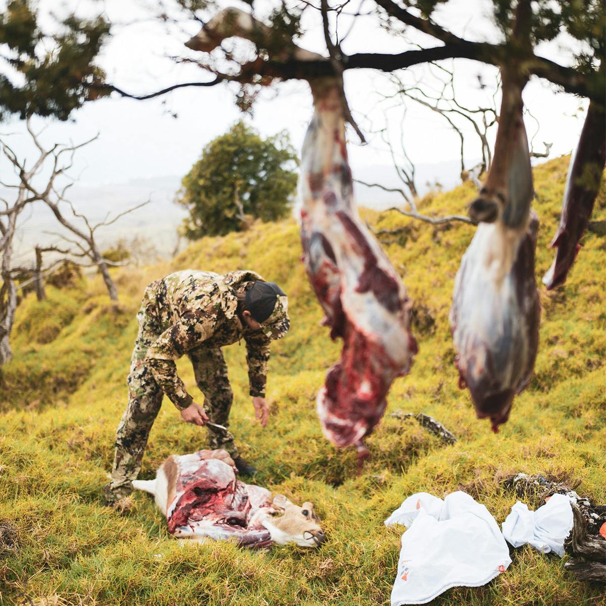 Bring Your Own Meat Wild Game Processing | SITKA Gear