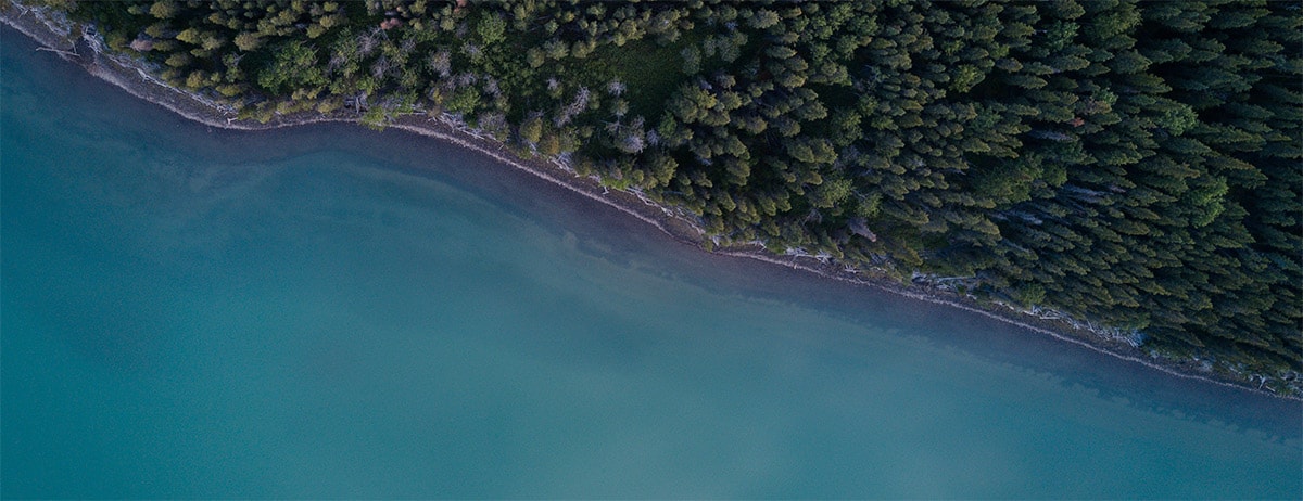 SITKA Ecosystem Grants