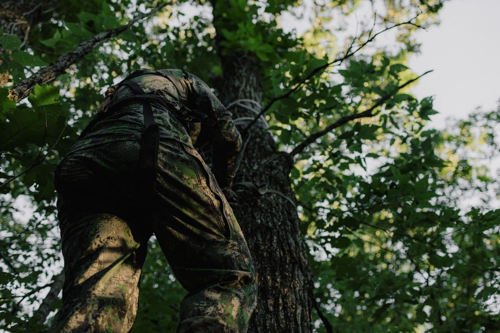 8-whitetail-deer-hunting-tips-image-4