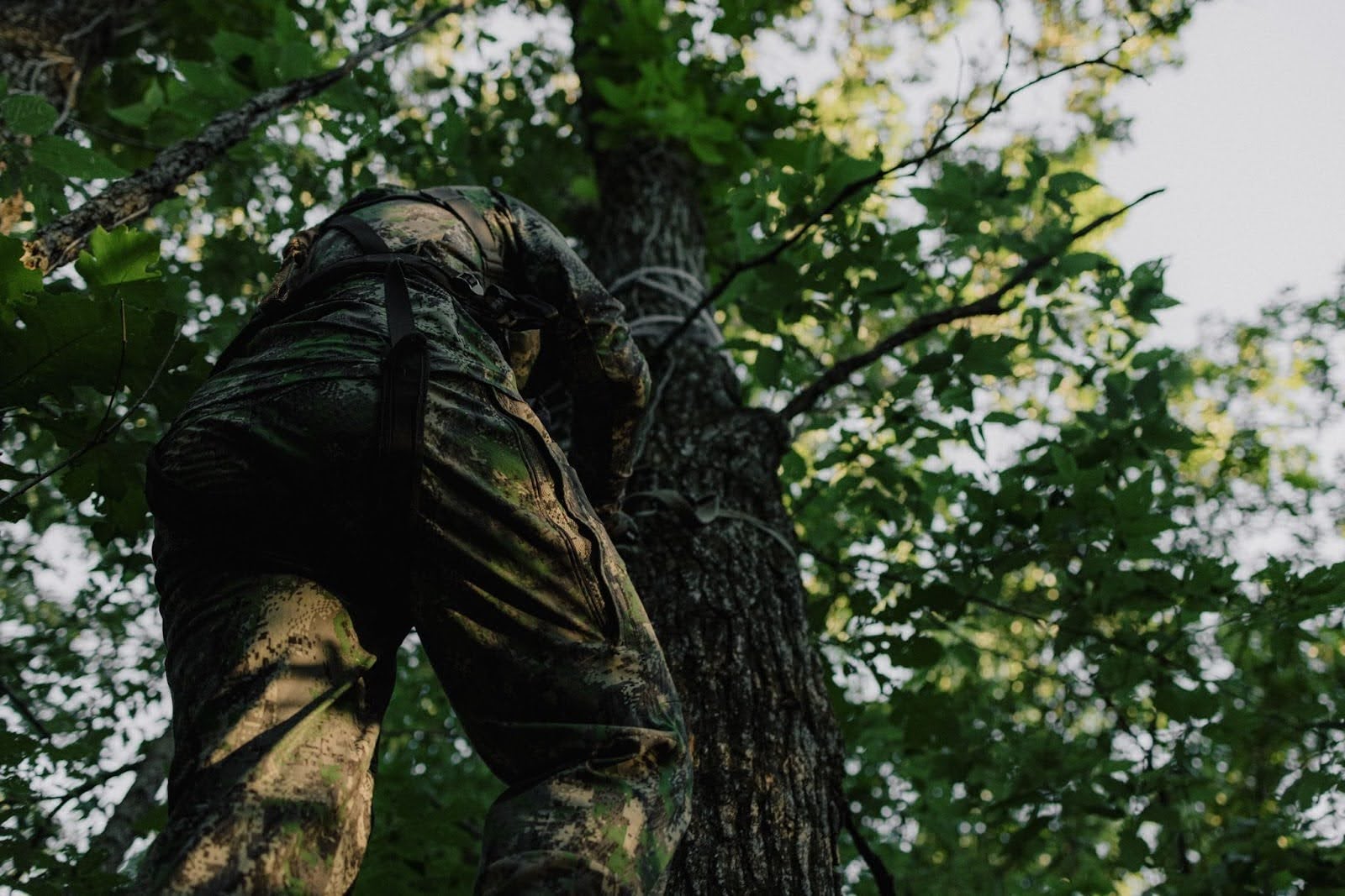 8-whitetail-deer-hunting-tips-image-4