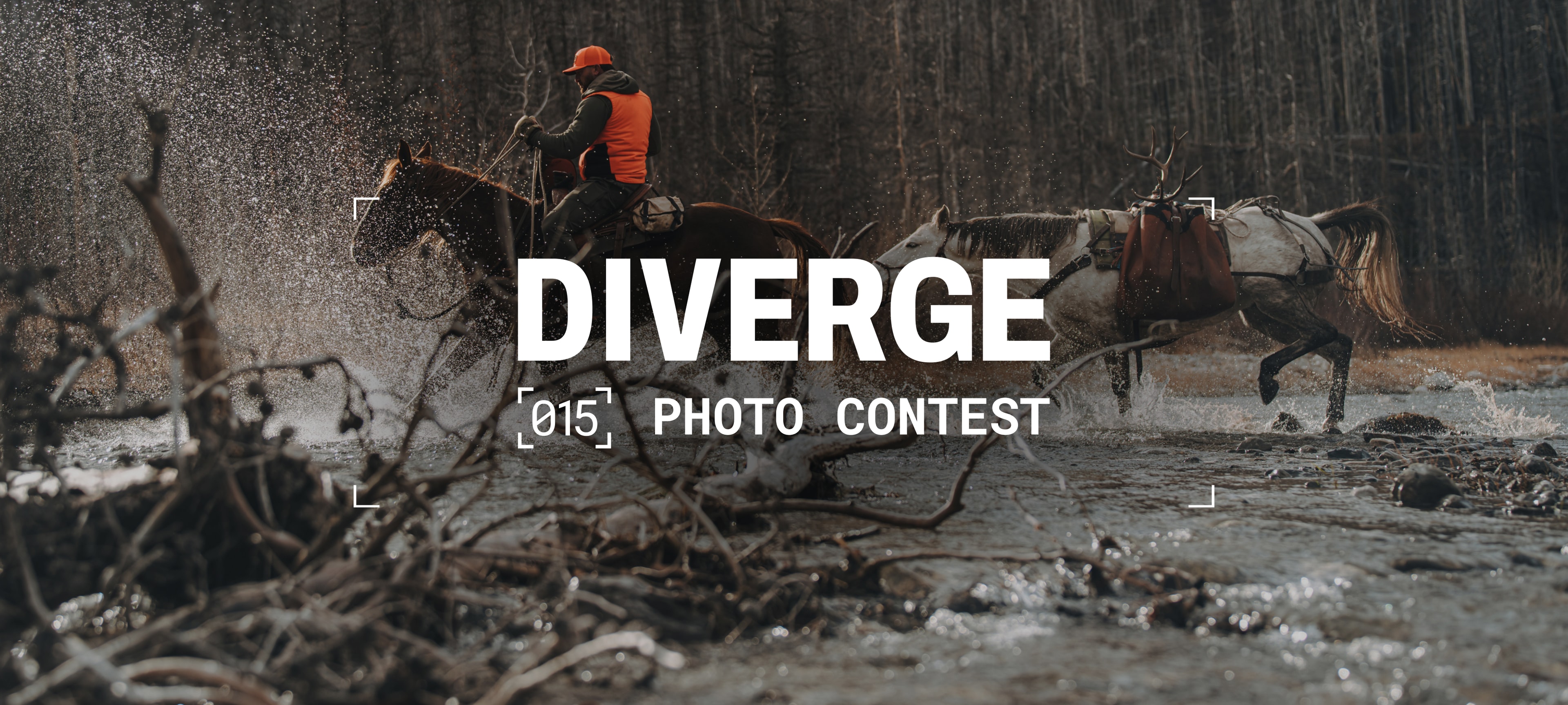 SITKA Diverge