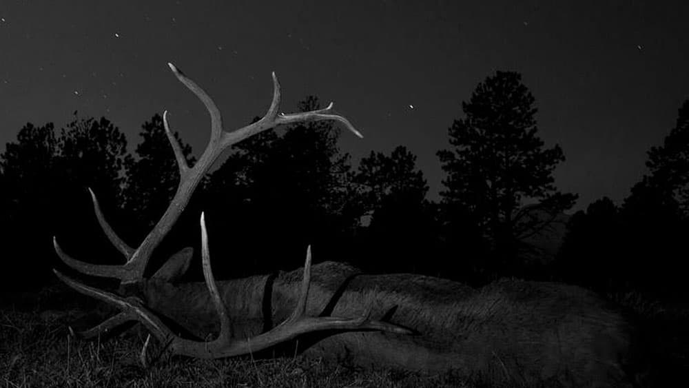 image/jpeg | DIVERGE-4-Top-Photos.jpg