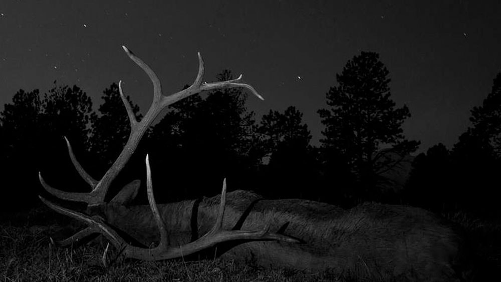 image/jpeg | DIVERGE-4-Top-Photos.jpg