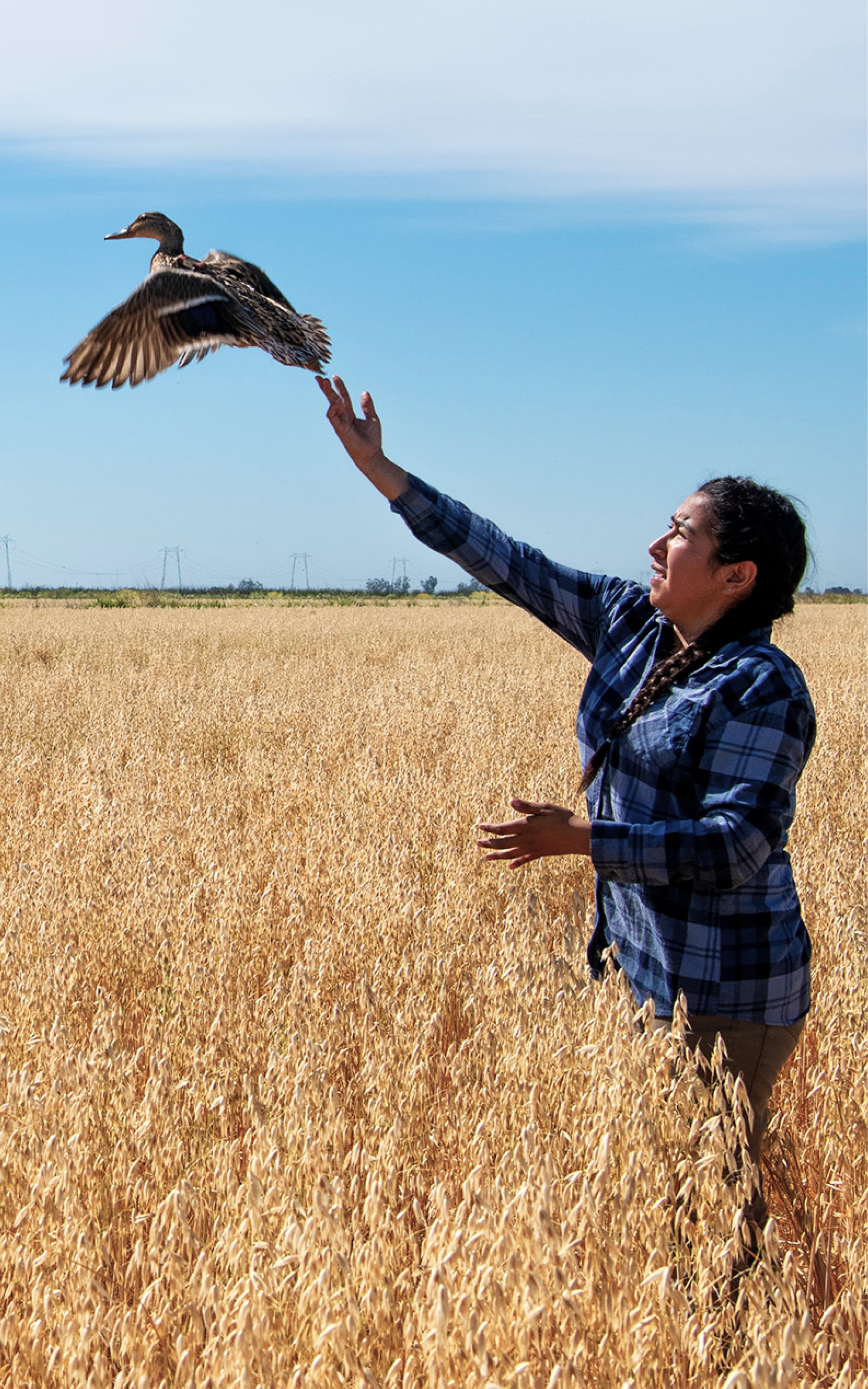 California Waterfowl Egg Recovery | SITKA Gear