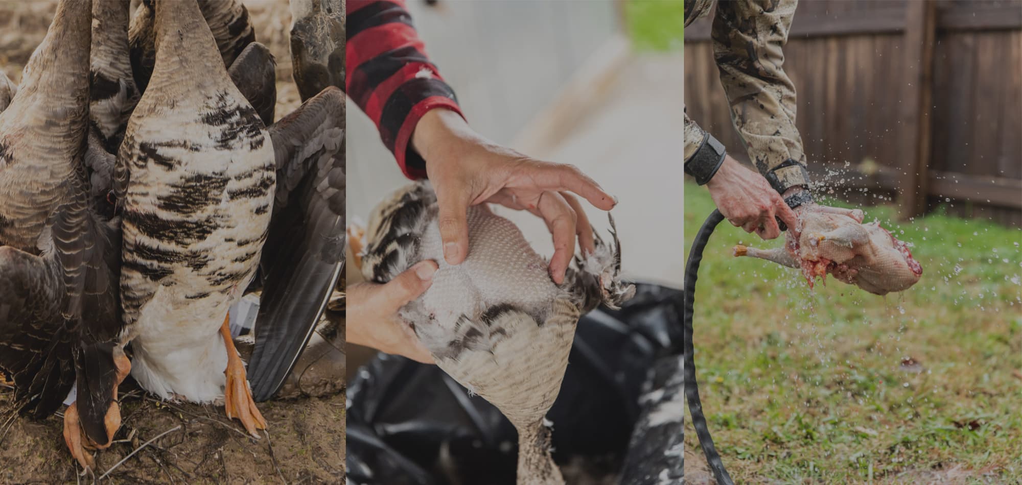 image/jpeg | testttt.jpg