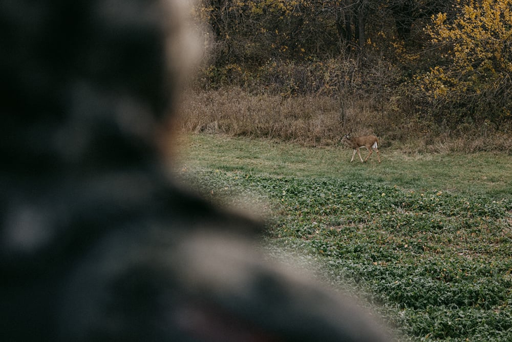 POV of man in treestand overlooking a field with a deer in it | SITKA Gear
